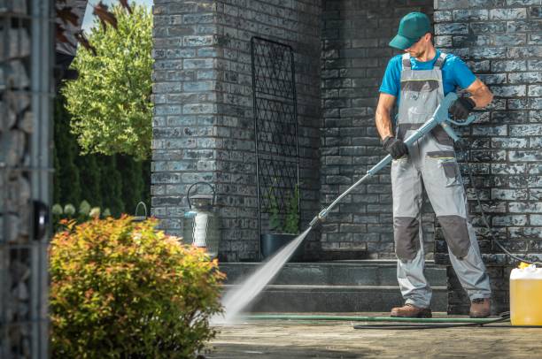 Animal Enclosure Cleaning in Hebron, MD